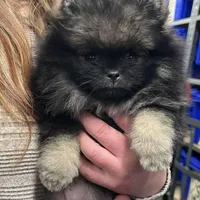 processed/05cda188-6019-4caf-8969-55bee00e574e/facility/ff7aa4d0-a34a-408c-9d8d-37fa30df2eac