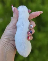 Angelo, a male Pomeranian for sale in Redding, CA – 4 of 8