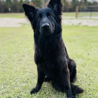 processed/05d6b6a2-cd2c-44a7-ad65-4a4dae329191/facility/076331f3-2f66-437c-9cb8-6641f851c11e