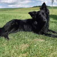 processed/05d6b6a2-cd2c-44a7-ad65-4a4dae329191/facility/55138f66-abc1-4485-bac6-952eeb94c309