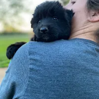 processed/05d6b6a2-cd2c-44a7-ad65-4a4dae329191/facility/a8b7dddf-b58f-4f92-bef5-6540d8cd99f3