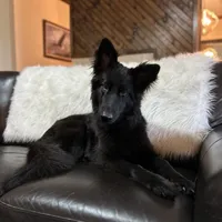 processed/05d6b6a2-cd2c-44a7-ad65-4a4dae329191/facility/ca353bf4-f2a4-4734-9fa0-5b196e0abc60