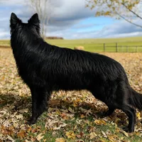 processed/05d6b6a2-cd2c-44a7-ad65-4a4dae329191/facility/cb30f907-3293-4823-bba1-2847f731cd3a