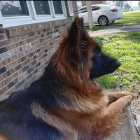 processed/05d6b6a2-cd2c-44a7-ad65-4a4dae329191/facility/eff571ff-0132-4078-b35a-d355d7df25e3