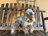 processed/05e13ab2-72e2-430f-a040-486e7a9c5cd5/facility/252d92b2-38c4-4dad-9680-f31fb00984aa