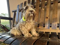 processed/05e13ab2-72e2-430f-a040-486e7a9c5cd5/facility/53a7db0a-d4b3-4432-a112-6caebec05fc6