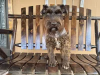 processed/05e13ab2-72e2-430f-a040-486e7a9c5cd5/facility/61c0a3e8-99bb-48b4-9cc3-8e91be213016