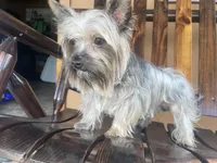 processed/05e13ab2-72e2-430f-a040-486e7a9c5cd5/facility/760cc96b-7d9f-4020-98a0-acdbe5ce13a4