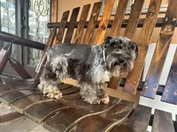 processed/05e13ab2-72e2-430f-a040-486e7a9c5cd5/facility/a8e46948-47a0-49e8-9c45-cd6f291d305f