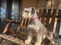 processed/05e13ab2-72e2-430f-a040-486e7a9c5cd5/facility/be24fb97-6b48-4bc9-a815-ff08f59267de