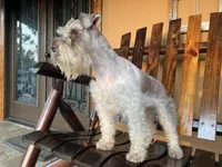 processed/05e13ab2-72e2-430f-a040-486e7a9c5cd5/facility/d33a1076-9770-4dc8-85fe-31bc8fd4318e