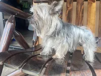 processed/05e13ab2-72e2-430f-a040-486e7a9c5cd5/facility/f3e15bff-098d-4408-b271-57e9e36b05d1