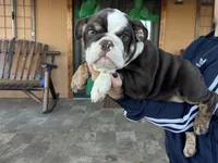 processed/05e13ab2-72e2-430f-a040-486e7a9c5cd5/listing/2172630f-5a8b-4969-a7d8-55a2015c3f7f/60b4a7e1-cdf0-46bf-bc69-da89585a2384