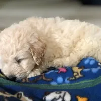 processed/05e192e5-dc6e-4fde-a9ec-d67a83267f13/facility/83858a1e-72ba-4e57-b43b-1312709cc63f