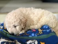 processed/05e192e5-dc6e-4fde-a9ec-d67a83267f13/facility/83858a1e-72ba-4e57-b43b-1312709cc63f