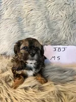 processed/05e192e5-dc6e-4fde-a9ec-d67a83267f13/listing/3975c6ca-43e6-4f53-a26a-e6426af44f08/5c1bb3a4-d8ab-4787-9592-22c40f0130b4