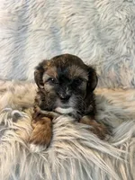 processed/05e192e5-dc6e-4fde-a9ec-d67a83267f13/listing/3975c6ca-43e6-4f53-a26a-e6426af44f08/6f921f5d-3078-45b1-af05-7fa8b296f25a