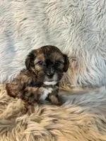 processed/05e192e5-dc6e-4fde-a9ec-d67a83267f13/listing/3975c6ca-43e6-4f53-a26a-e6426af44f08/8cca6d4c-e393-4757-937a-b145759b48d6