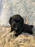 processed/05e192e5-dc6e-4fde-a9ec-d67a83267f13/listing/59697a3d-7e3f-4783-be6e-b4cabbea476b/112466ee-4b57-4e21-97c7-b391fe9400ea