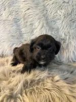 processed/05e192e5-dc6e-4fde-a9ec-d67a83267f13/listing/59697a3d-7e3f-4783-be6e-b4cabbea476b/9f7c230b-f5cc-433f-bd9d-09642b95b606