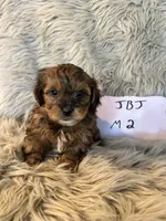 processed/05e192e5-dc6e-4fde-a9ec-d67a83267f13/listing/70499987-4b7d-453a-a873-f469f15641a1/79266ccc-2750-4240-93b1-978c3bbdaa72