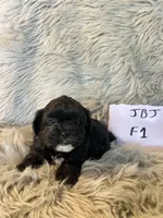 processed/05e192e5-dc6e-4fde-a9ec-d67a83267f13/listing/8093ec7b-1835-4165-923e-29e255ad07a2/560c25f4-4ddf-4550-8beb-17c2777a249b