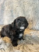 processed/05e192e5-dc6e-4fde-a9ec-d67a83267f13/listing/8093ec7b-1835-4165-923e-29e255ad07a2/6b88f0d1-f9fe-4aa0-b255-0e57c9d144b6