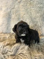 processed/05e192e5-dc6e-4fde-a9ec-d67a83267f13/listing/8093ec7b-1835-4165-923e-29e255ad07a2/93407b6a-8159-4f21-8a01-2d1bf9b3698c