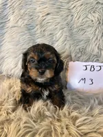 processed/05e192e5-dc6e-4fde-a9ec-d67a83267f13/listing/8f708511-5f33-47fd-b8fd-8e8b02edc6dc/0fb4f0a4-5c09-4c87-b833-ac18479b4d06