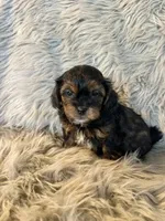 processed/05e192e5-dc6e-4fde-a9ec-d67a83267f13/listing/8f708511-5f33-47fd-b8fd-8e8b02edc6dc/38ceff78-e659-48df-add9-bdf783bf5bc6