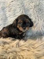 processed/05e192e5-dc6e-4fde-a9ec-d67a83267f13/listing/8f708511-5f33-47fd-b8fd-8e8b02edc6dc/d2eb0905-6619-4ac9-94cb-2af30df7392c