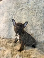 processed/05e192e5-dc6e-4fde-a9ec-d67a83267f13/listing/92f37a54-6ca4-4637-bd9b-8478d4abe303/05b1e305-3b01-46d6-a493-a2ced699b0d1