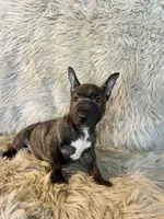 processed/05e192e5-dc6e-4fde-a9ec-d67a83267f13/listing/92f37a54-6ca4-4637-bd9b-8478d4abe303/660d9b77-9d85-4acd-9322-ddd01578843e