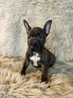 processed/05e192e5-dc6e-4fde-a9ec-d67a83267f13/listing/92f37a54-6ca4-4637-bd9b-8478d4abe303/ada67117-9292-475a-9b41-1055b19c8a72