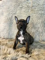 processed/05e192e5-dc6e-4fde-a9ec-d67a83267f13/listing/92f37a54-6ca4-4637-bd9b-8478d4abe303/b299229d-9dc9-4665-a37e-637d9ec314fc