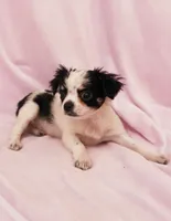 processed/05e44191-dc3d-4da7-8fb8-6ed2818078a0/listing/252659b2-a262-45e5-a4bd-ceecf7e7f630/6f0bdf2a-0fcd-4ae3-979f-74d4e51dcb58