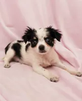 processed/05e44191-dc3d-4da7-8fb8-6ed2818078a0/listing/252659b2-a262-45e5-a4bd-ceecf7e7f630/7e143c9e-4b31-4ee2-9d67-8e45c9ef64b4