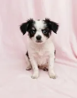 processed/05e44191-dc3d-4da7-8fb8-6ed2818078a0/listing/252659b2-a262-45e5-a4bd-ceecf7e7f630/e60f68f3-07d6-4d51-9482-8e4903c8b9e9