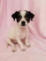 processed/05e44191-dc3d-4da7-8fb8-6ed2818078a0/listing/5a4c238c-82a7-4be6-b79f-e26587e5eeba/bffea938-36e4-4c0d-9385-740891fa4e67