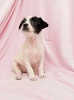 processed/05e44191-dc3d-4da7-8fb8-6ed2818078a0/listing/5a4c238c-82a7-4be6-b79f-e26587e5eeba/e1d4d1ed-e14e-4172-83cb-9e6bf621e547