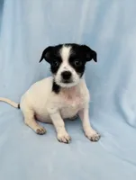 processed/05e44191-dc3d-4da7-8fb8-6ed2818078a0/listing/62a5f6e4-4b20-41ea-a650-999649914678/4fbbd22d-b275-45d0-9bad-e39915737249