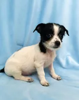 processed/05e44191-dc3d-4da7-8fb8-6ed2818078a0/listing/62a5f6e4-4b20-41ea-a650-999649914678/cae4edba-522d-4799-aa0d-15576247ce58