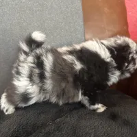 processed/05e8b22e-d3ef-4387-9468-f7a8ad74659f/facility/1516a6c3-4fbe-4118-a891-d5835a46a34e