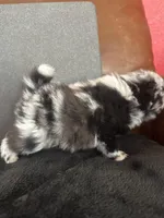 processed/05e8b22e-d3ef-4387-9468-f7a8ad74659f/facility/1516a6c3-4fbe-4118-a891-d5835a46a34e