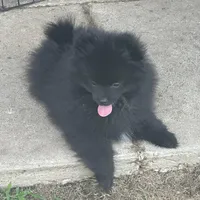 processed/05e8b22e-d3ef-4387-9468-f7a8ad74659f/facility/4d983fa4-86b0-4599-955d-5f149443126c