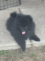 processed/05e8b22e-d3ef-4387-9468-f7a8ad74659f/facility/4d983fa4-86b0-4599-955d-5f149443126c