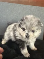 processed/05e8b22e-d3ef-4387-9468-f7a8ad74659f/facility/5a85e082-936a-4abb-8d06-046a668a1dc8