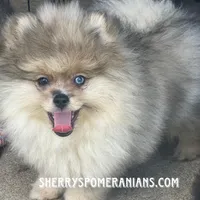 processed/05e8b22e-d3ef-4387-9468-f7a8ad74659f/facility/affd96cc-e81c-4f42-be4a-e99c75833f7a