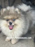 processed/05e8b22e-d3ef-4387-9468-f7a8ad74659f/facility/affd96cc-e81c-4f42-be4a-e99c75833f7a