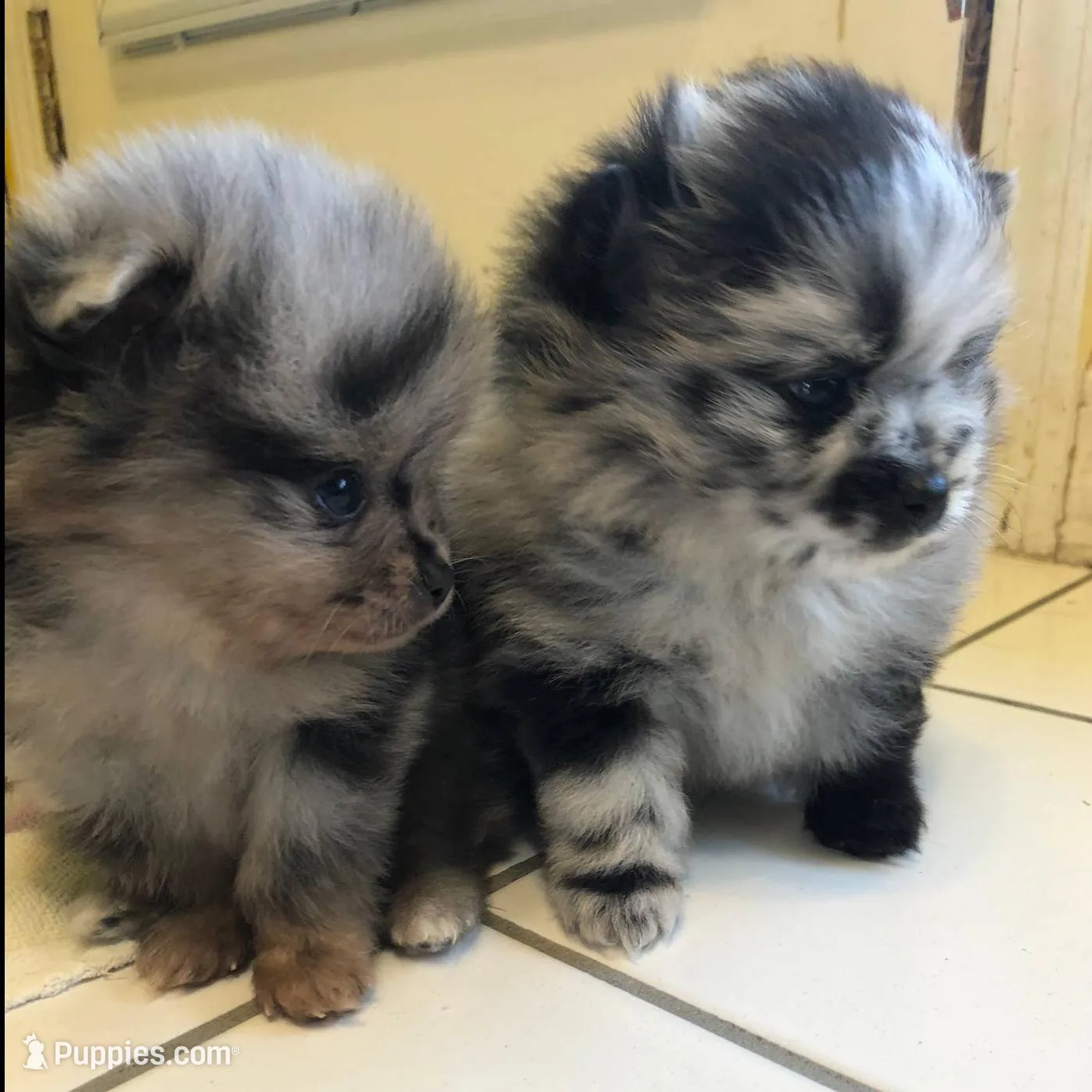 processed/05e8b22e-d3ef-4387-9468-f7a8ad74659f/facility/c8cf9a7e-351b-48b2-8c02-d9ee993e5588